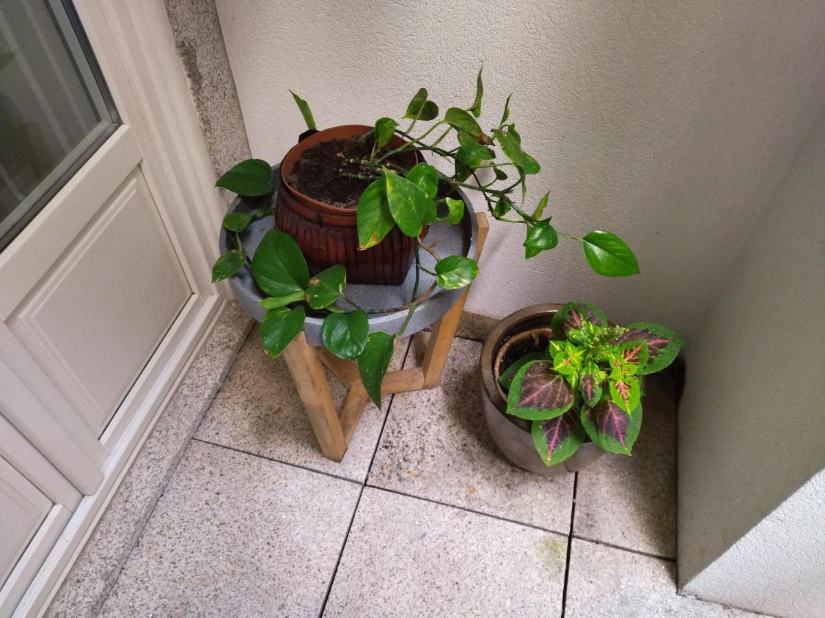 Santa Catarina Patio Apartment - With Washer Machine Porto Exterior foto